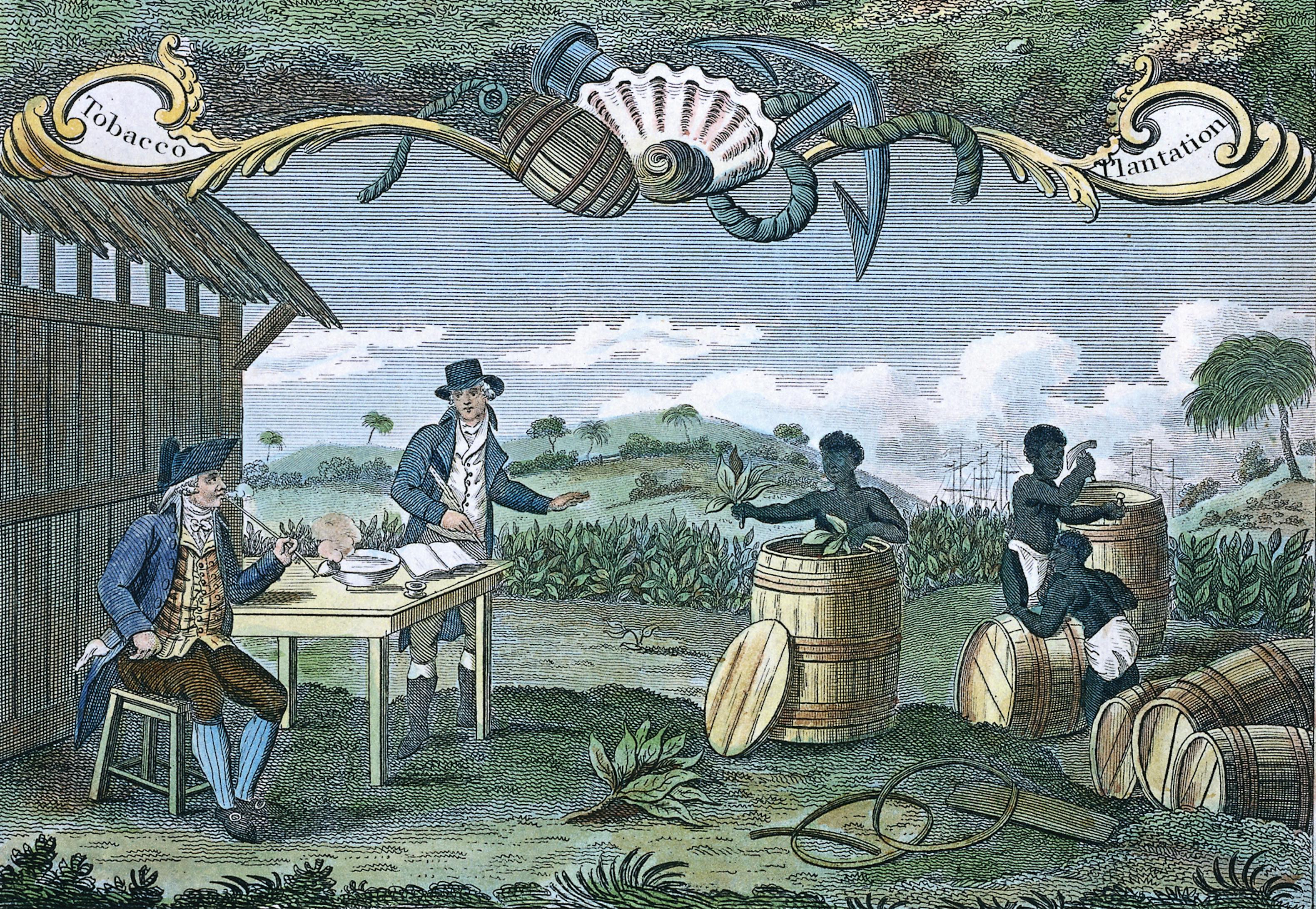 A colonial Virginia planter and his clerk oversee the packing&nbsp;of tobacco leaves by enslaved Africans.